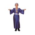 thumbnail image 1 of WISEMAN (AZUL) - LRG CHD RG Costumes 90182-L, 1 of 1