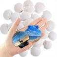 thumbnail image 1 of 30 Conchas de Vieira Naturales de 5 A 7,5 cm, Conchas Blancas para Manualidades, Pintura, Playa, Verano, Boda, Hogar., 1 of 5