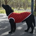 thumbnail image 4 of Breathable Dog Vest - Round Neck Sport Wear - Pet T-shirt - Summer Large Dog Clothes - for Outing, 4 of 8