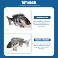 thumbnail image 3 of Toys Animal Teaching Aid Fish Table Centerpiece Simulation Black Sea Bream Figure Simulation African Crucian Carp Ornamental Fish Ocean Plastic Child, 3 of 6