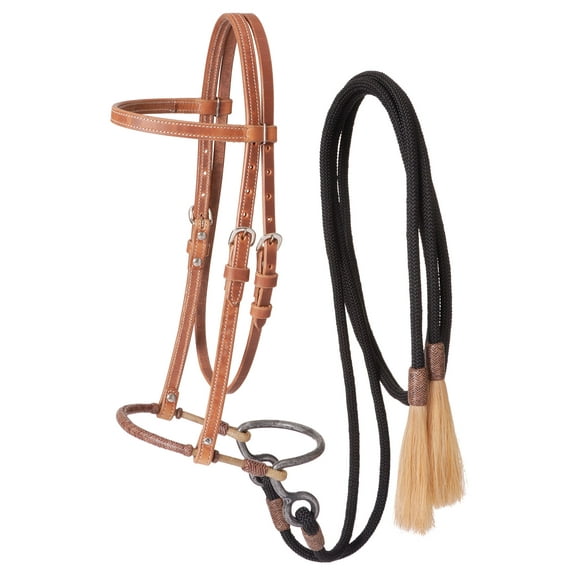 Harness Leather Headstall w/Training Bosal