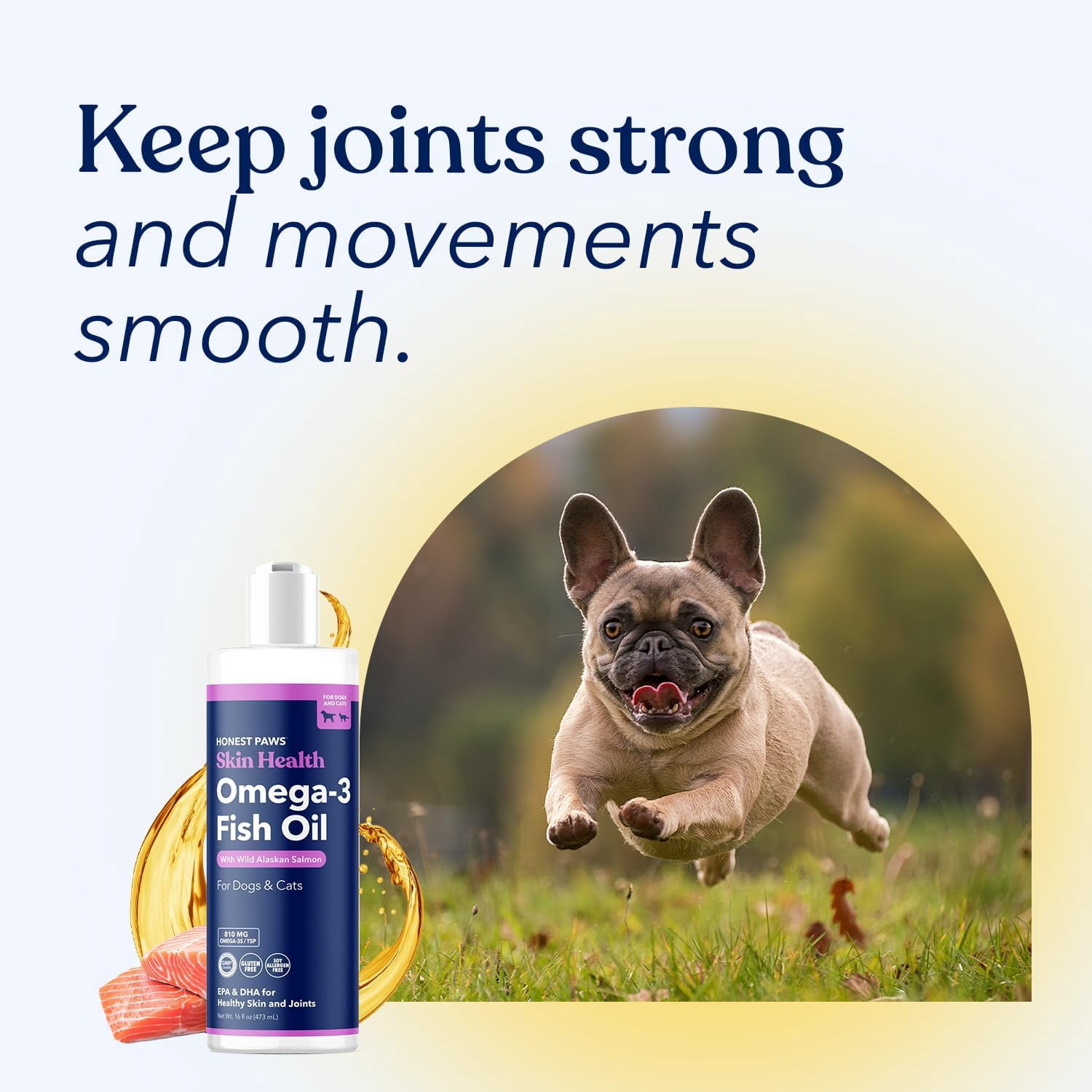 Honest Paws Omega-3 Fish Oil for Dogs with Wild Alaskan Salmon, Skin & Coat and Joint Health Support, 16 oz