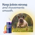 thumbnail image 5 of Honest Paws Omega-3 Fish Oil for Dogs with Wild Alaskan Salmon, Skin & Coat and Joint Health Support, 16 oz, 5 of 10
