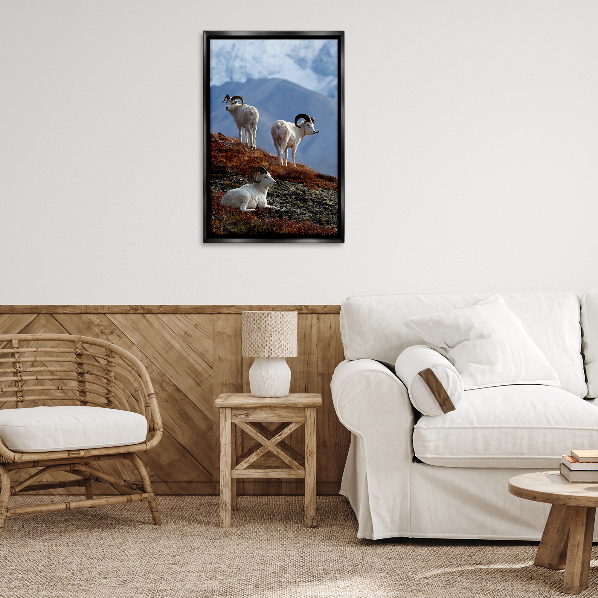 Stupell Industries Dall Sheep on Cliff Landscape & Nature Photography Black Floater Framed Canvas Art Print Wall Art, 21 x 31