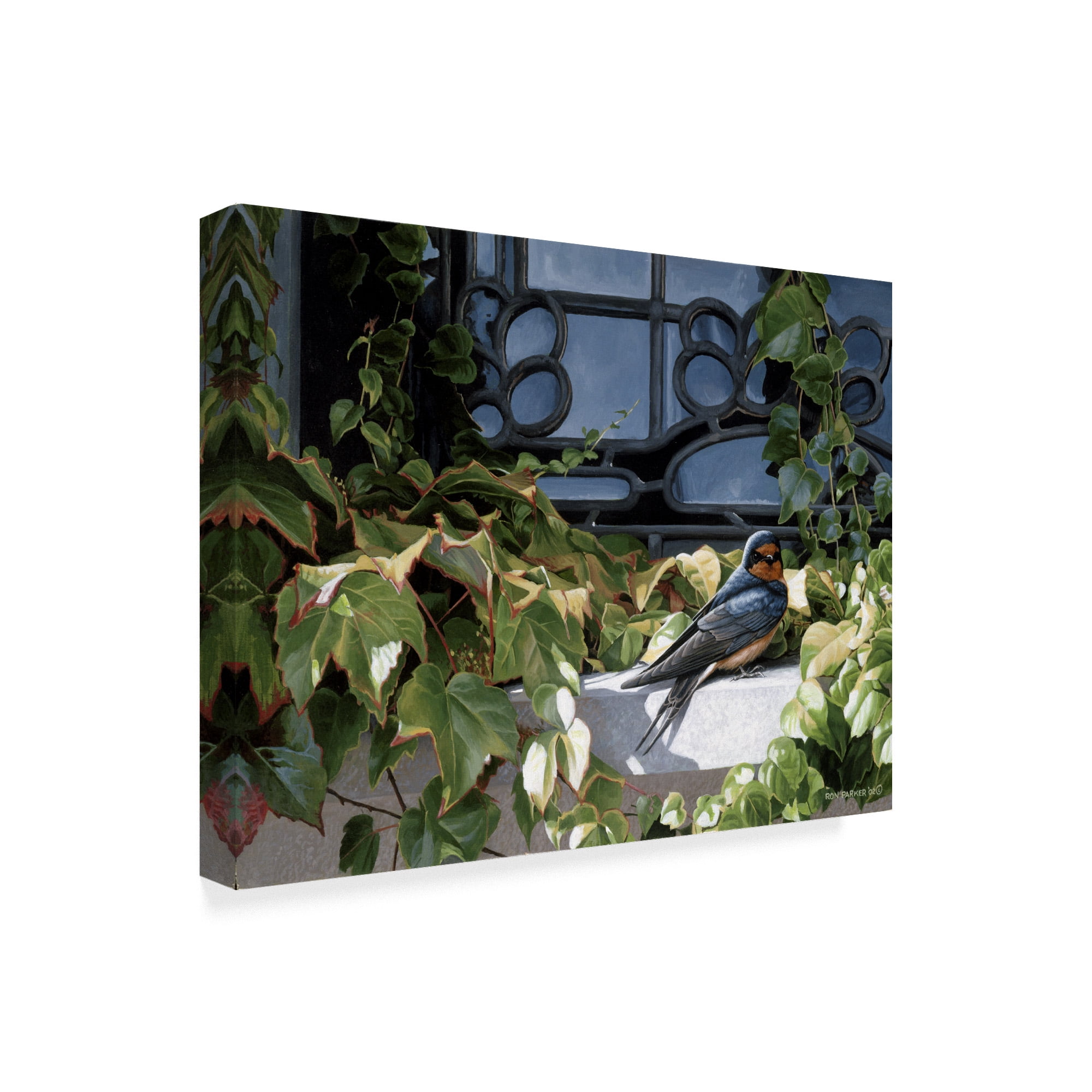 Trademark Fine Art 'The Window Ledge' Canvas Art by Ron Parker