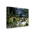 thumbnail image 2 of Trademark Fine Art 'The Window Ledge' Canvas Art by Ron Parker, 2 of 3