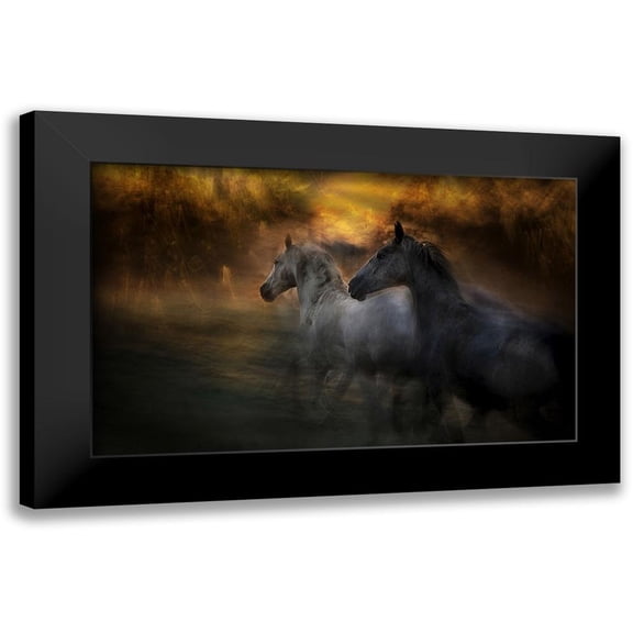 Malovrh, Milan 24x16 Black Modern Framed Museum Art Print Titled - Duel