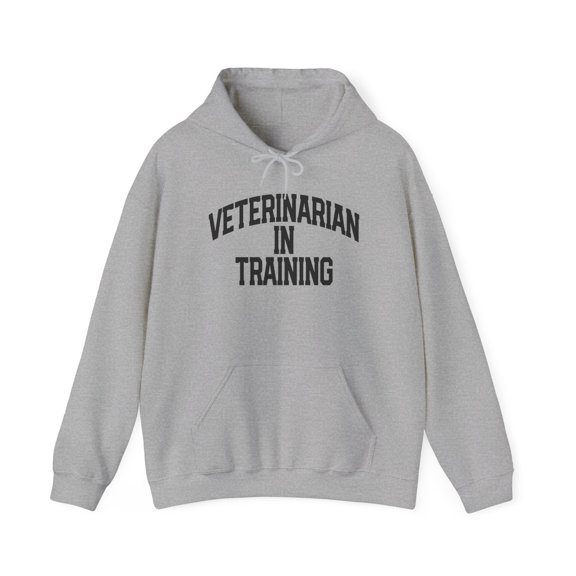 Veterinarian Vet Future School Student Hoodie, Gifts, Hooded Sweatshirt