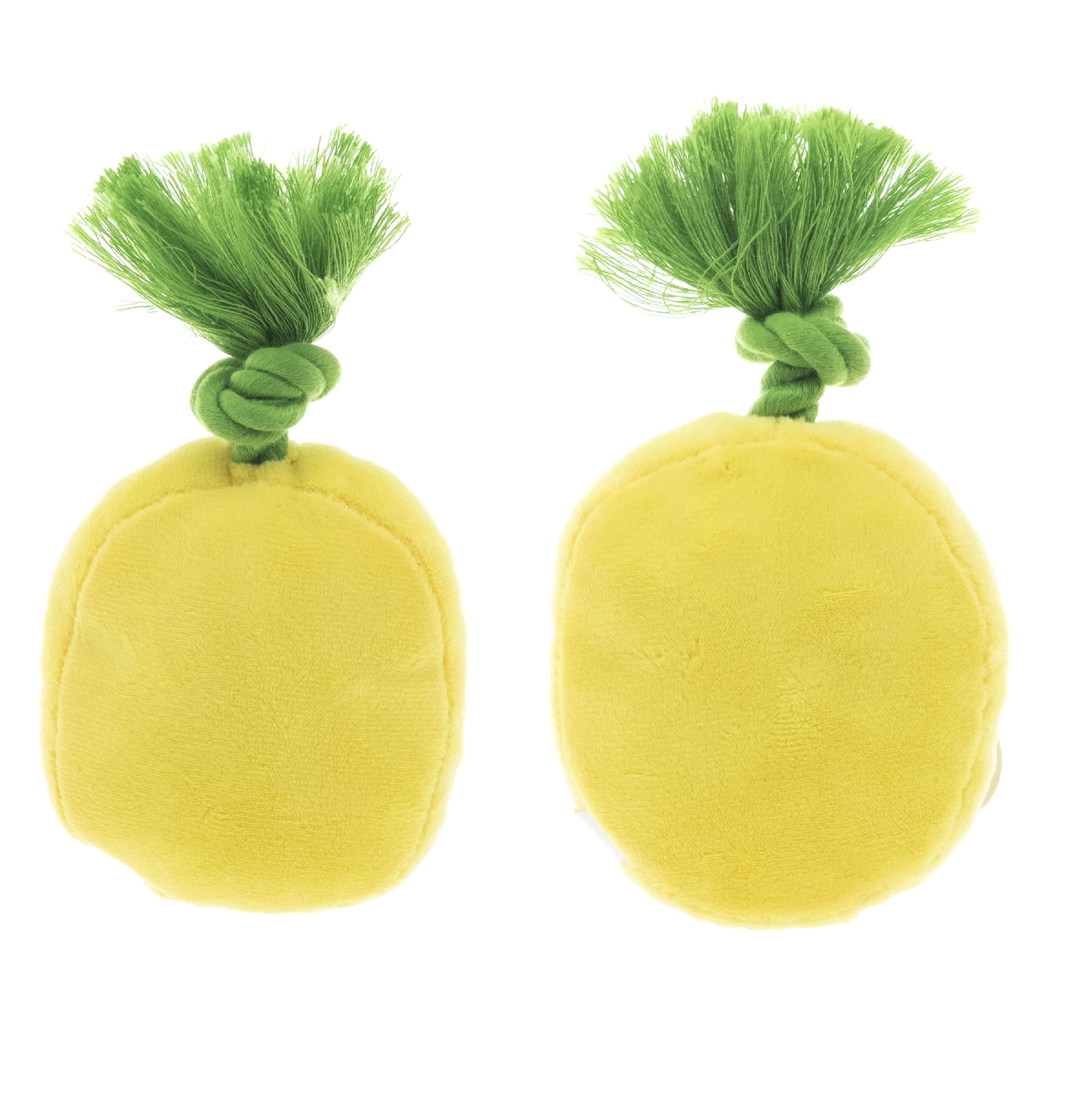 Vibrant Life Summer Dog Toy