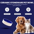 thumbnail image 3 of Pet Bowl SPOT, cerámica de gres para gatos, gatitos y perros pequeños, 3 of 6