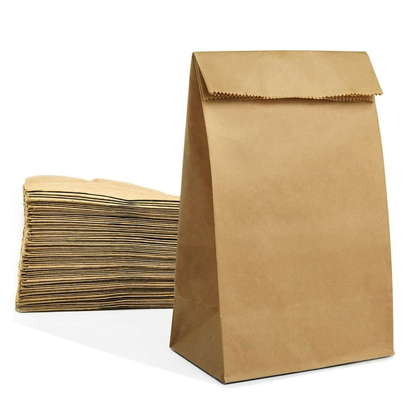 Paper Lunch Bags 50 count Large Brown Lunch Bags 8LB Brown Paper Bags Sack Bulk Strong for Small Business