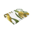 thumbnail image 4 of LNWH Super Soft Flannel Bed Blanket, Cozy Fluffy Warm All Seasons Lemon Vintage Painting Pattern Throw Blankets for Sofa Bedding, 80"x60", 4 of 8