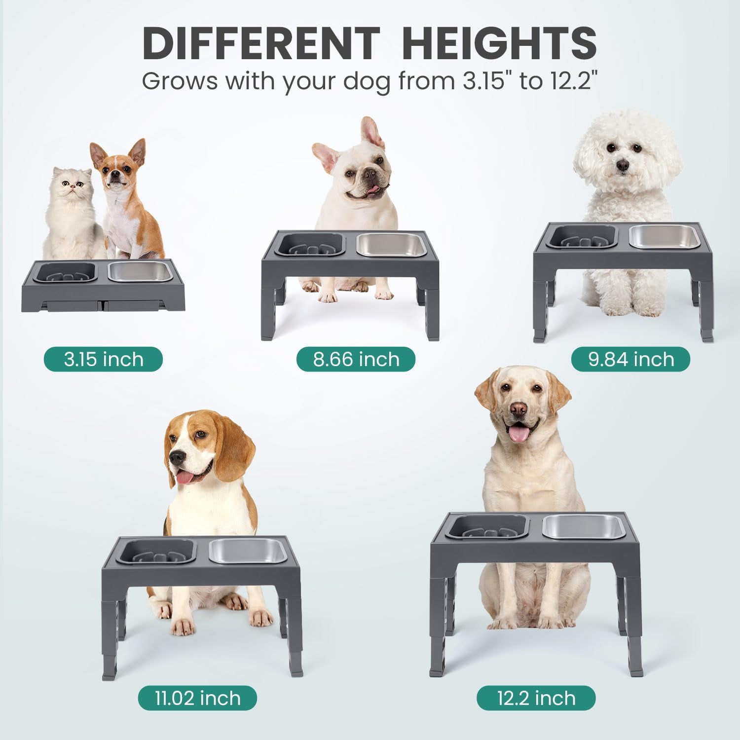 Elevated Dog Bowls, with Slow Feeder Bowl and Stainless Steel Dog Food Bowl