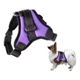 thumbnail image 1 of Pequeño bolso bandolera para teléfono móvil, funda para teléfono móvil con cartera colgante, bolso bandolera de piel sintética, pasaporte, funda para teléfono móvil con ranura para tarjetas, correa, 1 of 1