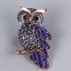 thumbnail image 5 of Conjunto De Broches Para Mujer Búho Abeja Libélula Pavo Real Colibrí Broche De Cristal Colorido Broche De Cristal Para Decoración De Ropa 5 Uds Cateissary AP005558-00, 5 of 6