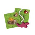 thumbnail image 2 of Juego de mesa Carcassonne The Princess & The Dragon Expansion, 2 of 4
