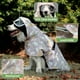 thumbnail image 2 of Capa Impermeable para Perros Casual Capa Impermeable para Mascotas, 2 of 4