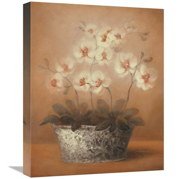 Global Gallery GCS-128583-1620-142 16 x 20 in. Gillian Art Print - Cheovan