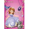 American Greetings Disney Sofia The First Princess Birthday Party Favor Pack