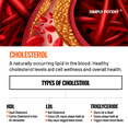 thumbnail image 4 of Simply Potent Cholesterol Supplement to Supports Heart Health & Healthy Cholesterol, 60 Capsules, 4 of 7