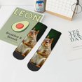 thumbnail image 7 of Naloa Squirrels Eating Peanuts On The Tree Ankle Socks for Women Non Slip Socks No Show Socks Classic Low Cut Casual Socks Casual Socks, 7 of 7