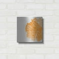thumbnail image 3 of Luxe Metal Art 'Orange Slice' by Linda Woods, Metal Wall Art, 12"x12", 3 of 9