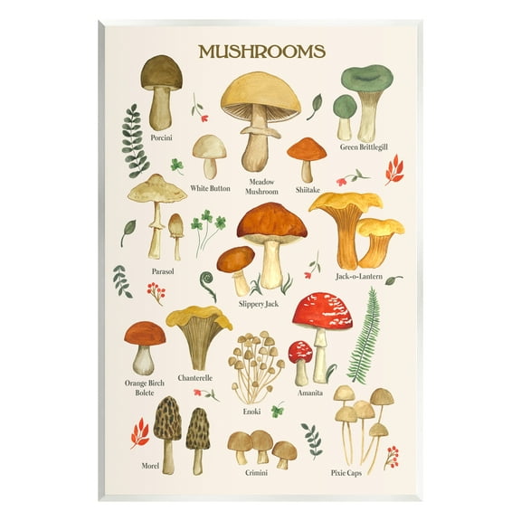 Stupell Industries Foraging Mushrooms Studies Botanical & Floral Painting Unframed Art Print Wall Art, 10 x 15