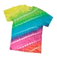 Create Basics 10 Color Tie Dye Kit, Rainbow Colors - Walmart.com