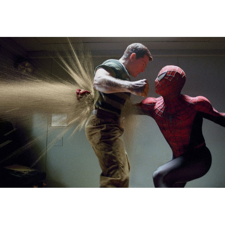 洋画・外国映画 SPIDER-MAN 8 MOVIE COLLECTION DVD Sony Pictures Spider-Man: 8-Movie Collection (DVD) - Tom