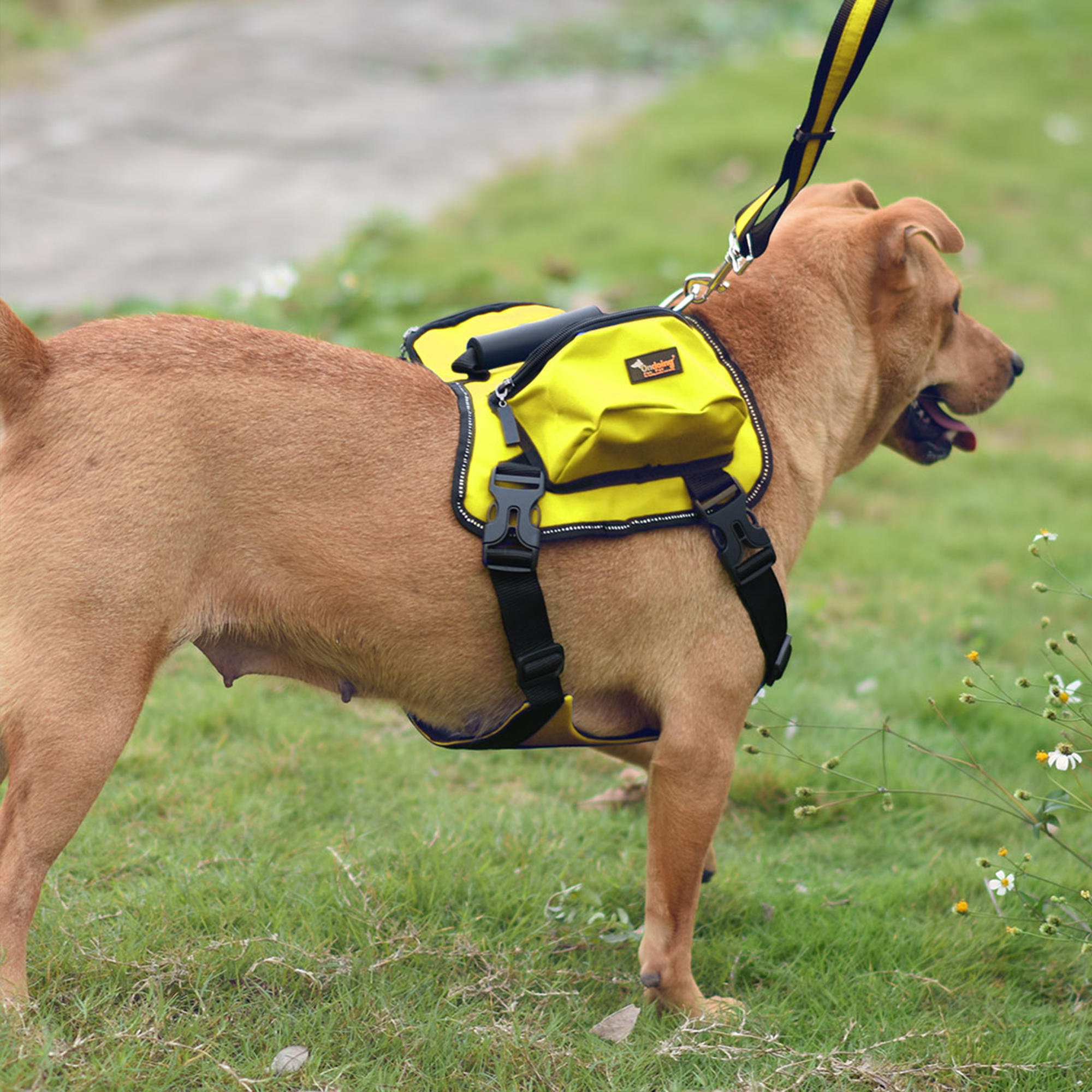 dog backpack harness