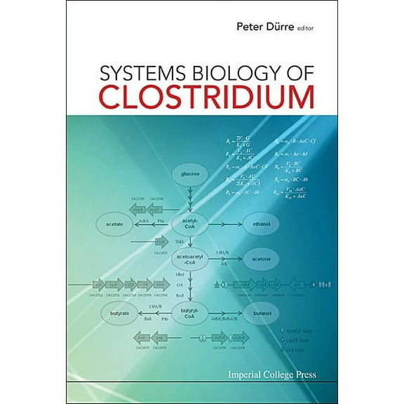 Systems Biology of Clostridium, (Hardcover)