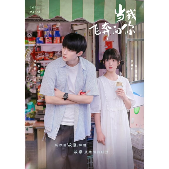 When I Fly Towards You 2023 Cdrama Poster  Cdrama Fan Gift Print