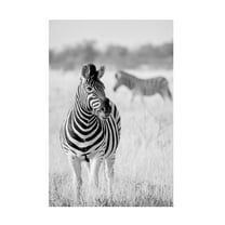Canvas Wall Art - Hannes Bertsch 'Zebra Bw' Wall Art for Living Room, Bedroom, or Office Décor by Trademark Fine Art - 16 x 24 Inches