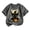 AB394 Dark Gray, variant on Bainana Boys Short Sleeve T Shirts Graphic Print Cute Tops Big Kids Halloween Tees
