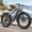Gray, variant on 26" Fat Tire Electric Bikes for Adults 1800W Peak 70 Miles Range 28 mph Thunder Electric Mountain Bike 7-Speed Front Fork Suspension All Terrain off Road E-Bike 48V 15AH Battery, UL2849 Compliant