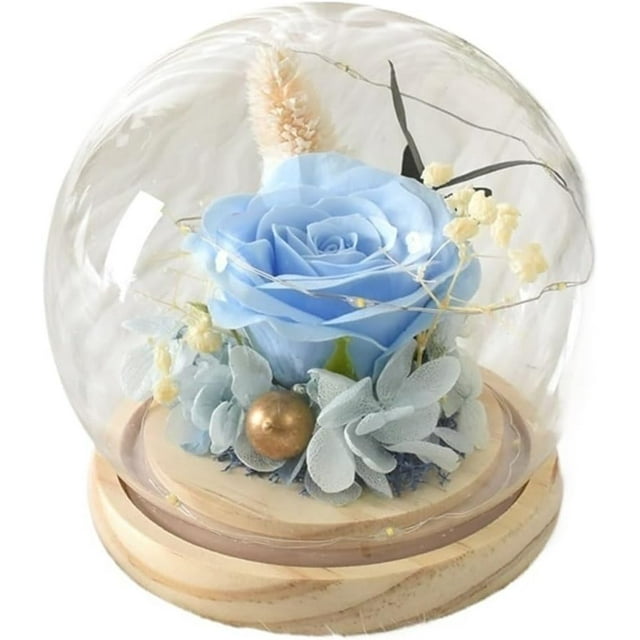 Valentine's Day Gift For Her Preserved Rose In Glass Dome Light Up Flower Gift Anniversary Birthday Home Decor(Red),Blue