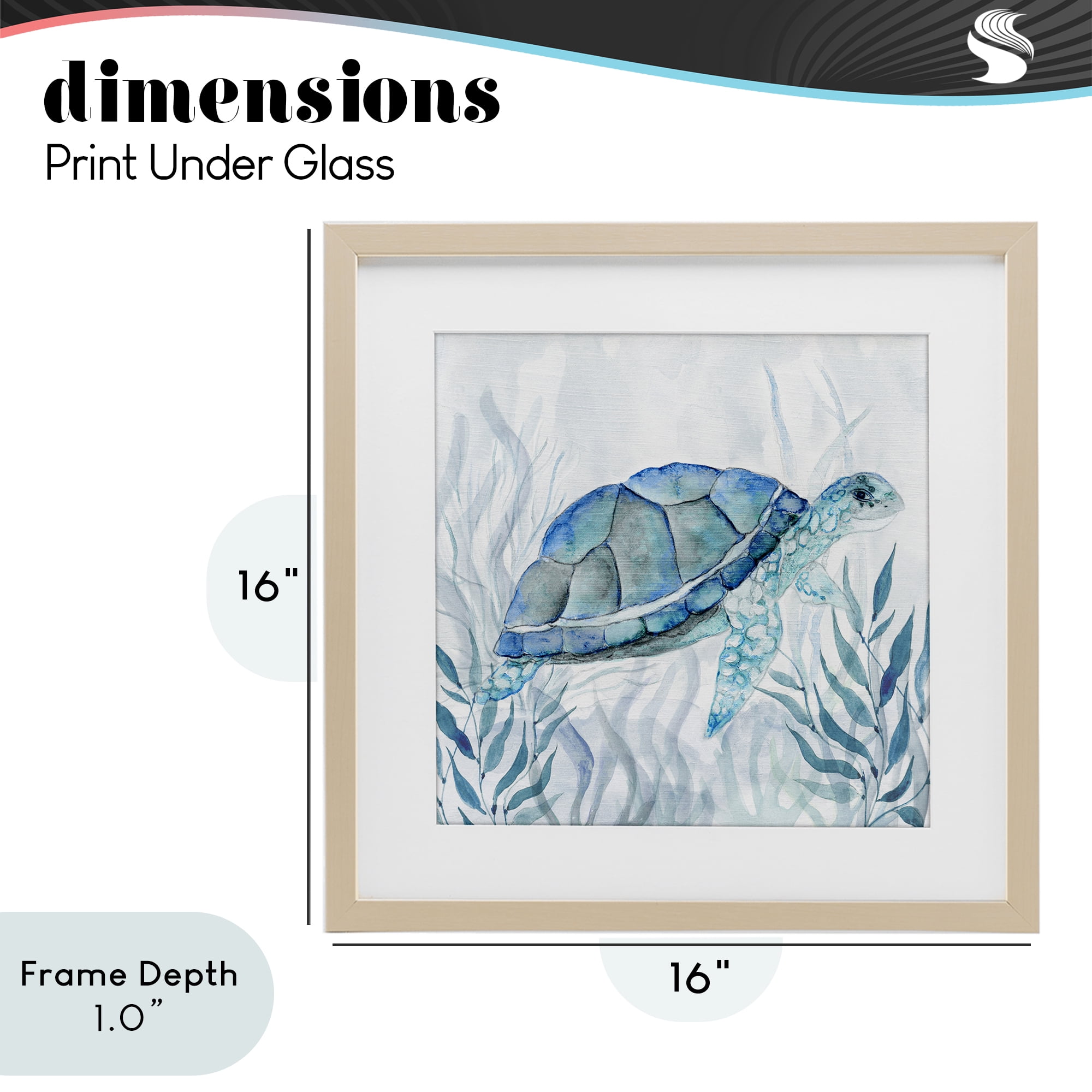 Stupell Industries Smiling Turtle Gaze Birch Framed Print Under Glass, design by Janet Tava