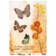 thumbnail image 1 of Luz de estudio Studio Light  RICEJL19, 1 of 1
