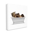 thumbnail image 3 of Stupell Industries Bathroom Wildlife Bear in Tub Graphic Art Gallery Wrapped Canvas Print Wall Art, Design by Annalisa Latella, 3 of 7