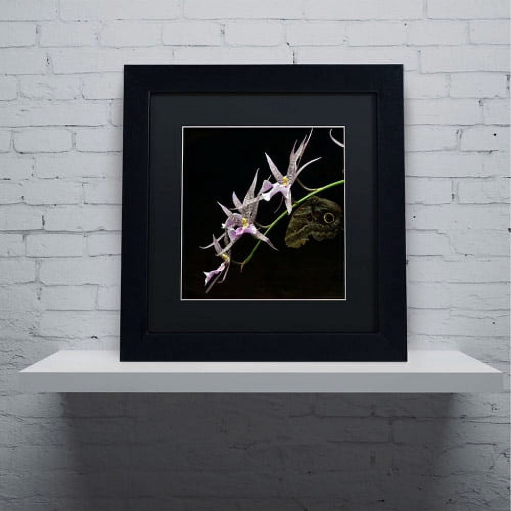 Trademark Fine Art "Spider Orchid and Owl Eye" Canvas Art by Kurt Shaffer, Black Matte, Black Frame