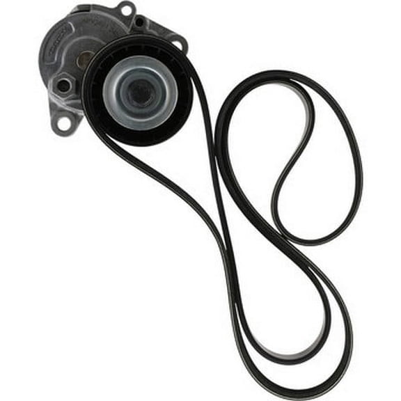 Dayco A060563K1 Serpentine Belt