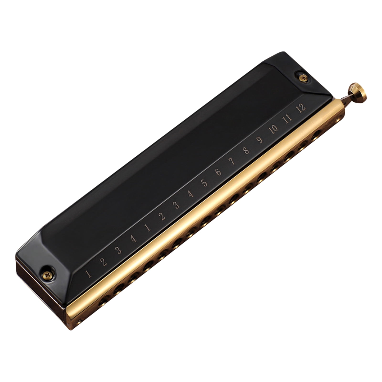Blues Harmonica in C, 16 Holes Blues Harp Diatonic Harmonica C, Mouth Organ harmonica in C For Adults, Beginners