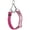 Passionfruit Pink, variant on Dogline Reflective Biothane Martingale Collar