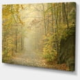 thumbnail image 2 of Sentier Forestier d'Automne par un Matin Brumeux, 2 of 3