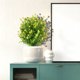 thumbnail image 4 of Flores Artificiales de Camelia con Plantas Verdes - Decoración de Primavera para El Hogar - Arreglo Floral Artificial para Sala de Estar, Comedor, Mesa, Estante, Escritorio de Oficina - Decoración Du, 4 of 7