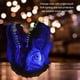 thumbnail image 4 of Lámpara De Dinosaurio, Luz Nocturna, Interruptor Táctil Que Cambia De Color, Lámpara LED Portátil Para Guardería Para Niños Y Adultos, 4 of 7