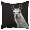 thumbnail image 1 of BOSDECO Hipster Llama Decor Pillow Case Pillow Cover 20x20 inch, 1 of 1