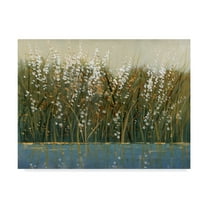 Trademark Fine Art 'By the Tall Grass I' Canvas Art by Tim OToole