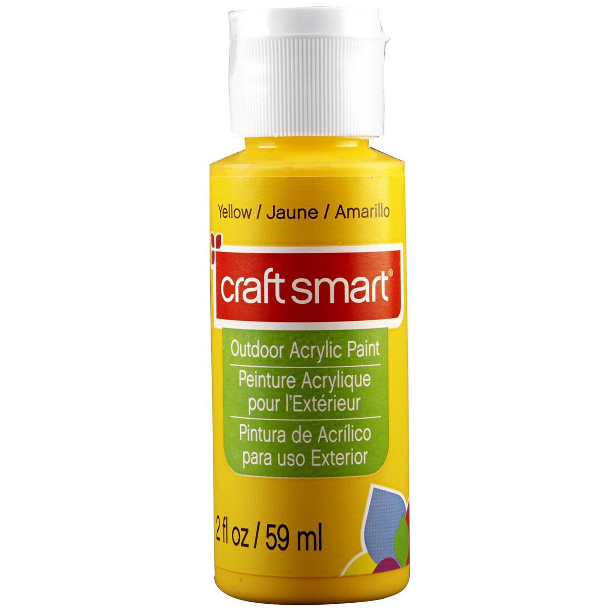 12 Pack Outdoor Acrylic Paint by Craft Smart®, 2oz.