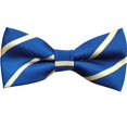 thumbnail image 5 of Pajarita de poliéster a rayas con puntos polares para estudiantes, niños pequeños, corbata de lazo, accesorios para cuello, 5 of 5